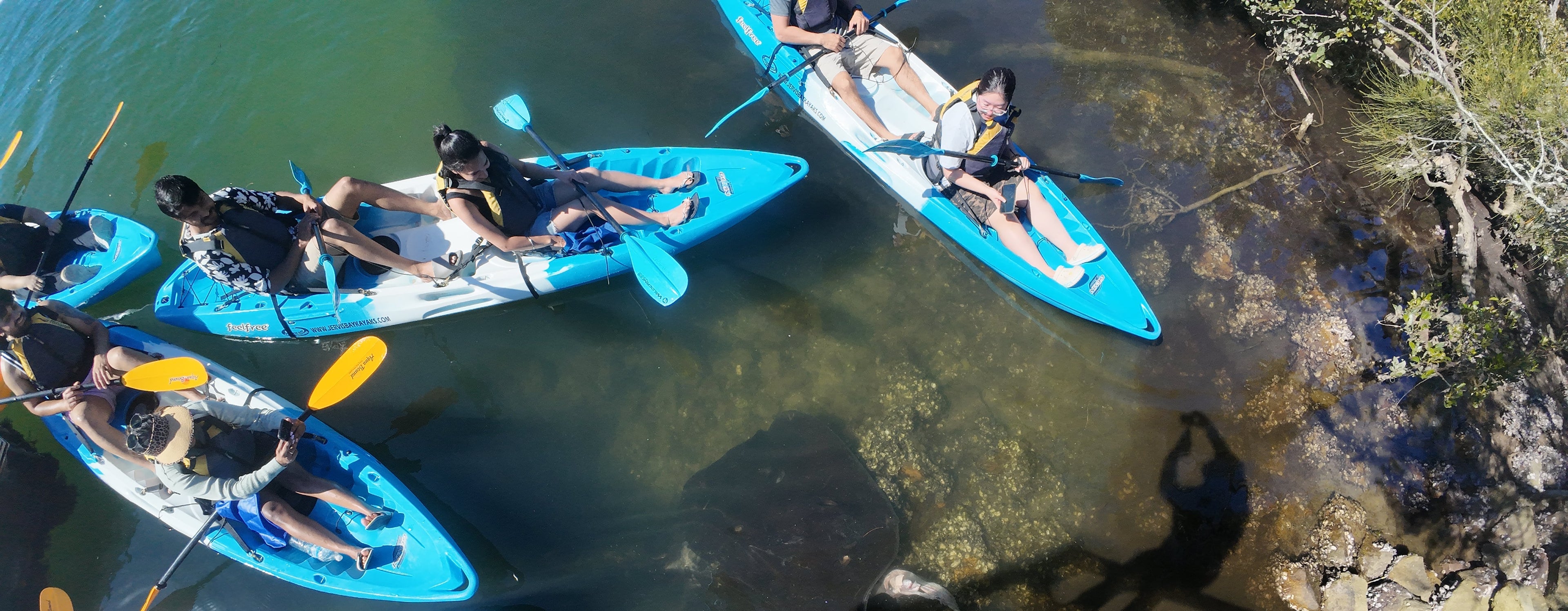 Group of people paddleboarding on a body of water with a Smooth Ray,  dock and rocks in the background.